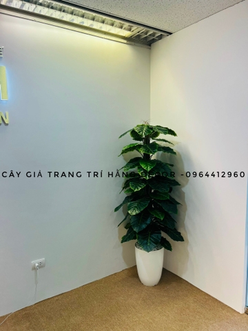 CÂY TRẦU BÀ CỘT HẰNG DECOR  63 LÁ (1M5)