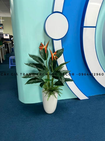 CÂY HOA THIÊN ĐIỂU 1M HẰNG DECOR