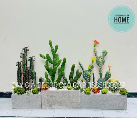 SET 3 BỒN XƯƠNG RỒNG GIẢ KÈM CHẬU XI MĂNG DÀI 1M6