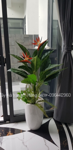 CÂY HOA THIÊN ĐIỂU 1M HẰNG DECOR