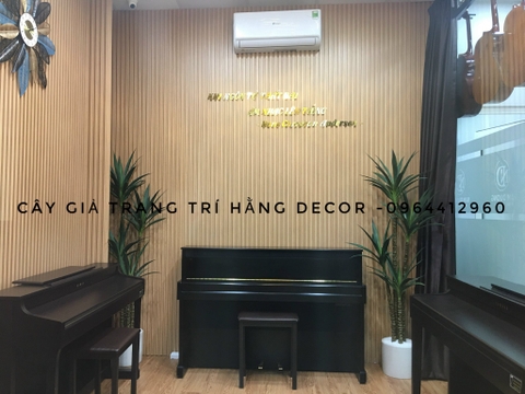 CÂY PHÁT TÀI NÚI GIẢ TRANG TRÍ HẰNG DECOR (1M ,1M2,1M4,1M6,1M8)