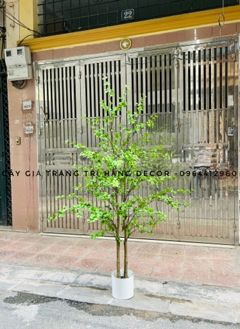 CÂY THẠCH NAM 2 THÂN NHỰA GIẢ TRANG TRÍ HẰNG DECOR(1M7)