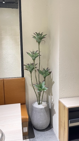 CÂY BÔNG SÚNG GIẢ HẰNG DECOR (1M1, 1M6)