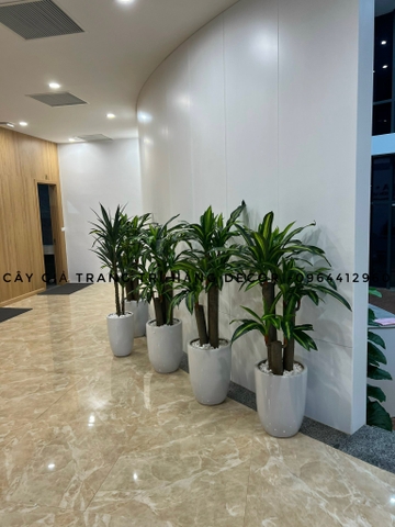 CÂY THIẾT MỘC LAN GIẢ HẰNG DECOR (1M2)