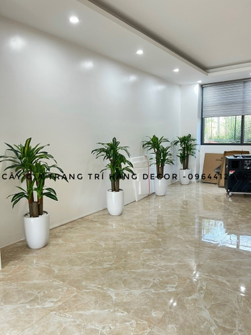CÂY THIẾT MỘC LAN GIẢ HẰNG DECOR (1M2)