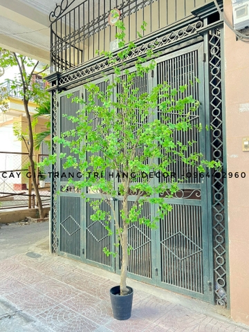 CÂY THẠCH NAM GIẢ TRANG TRÍ HẰNG DECOR 2m7
