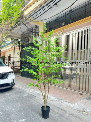 CÂY THẠCH NAM GIẢ THÂN NHỰA TRANG TRÍ (2M2, 2M5)