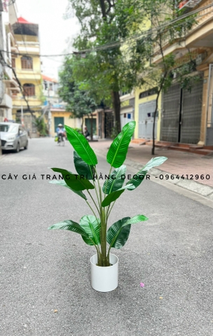 CÂY CHUỐI RẺ QUẠT TRANG TRÍ HẰNG DECOR 1M2(3 nhánh-12 lá)