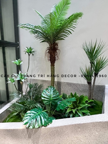 CÂY DỪA THÂN TO GIẢ HẰNG DECOR (1M5-2M)