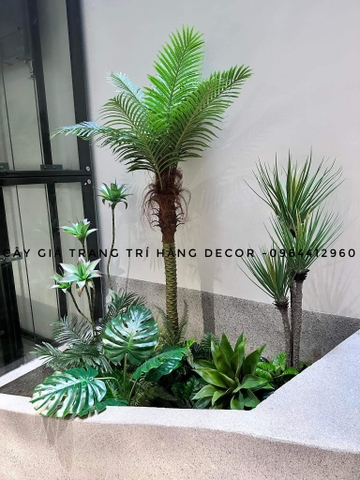 CÂY PHÁT TÀI NÚI THÂN TRẮNG GIẢ HẰNG DECOR (1M1, 1M4)