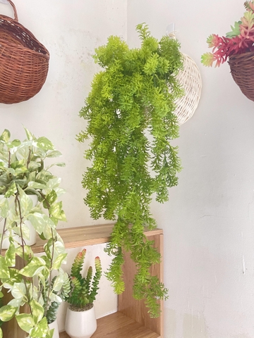 Chậu dong rủ giả 70cm