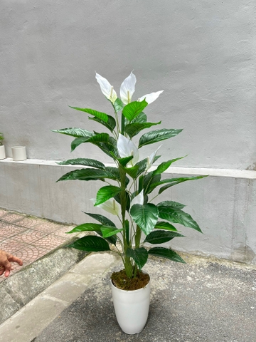CÂY HOA LAN Ý GIẢ TRANG TRÍ ( 1M2, 1M5)