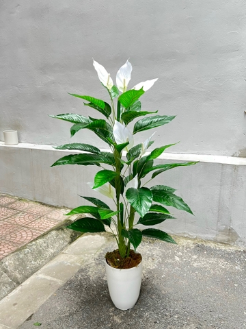 CÂY HOA LAN Ý GIẢ TRANG TRÍ ( 1M2, 1M5)