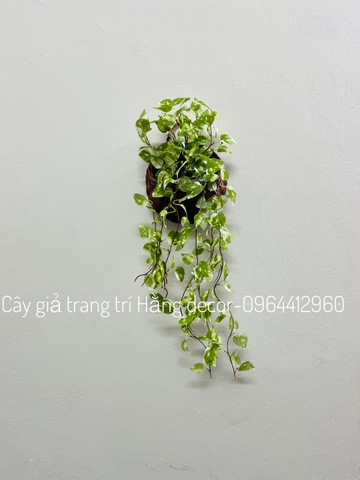 Giỏ dây rủ giả treo tường 70cm