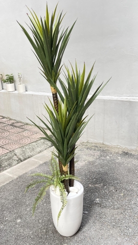 CÂY PHÁT TÀI NÚI GIẢ HẰNG DECOR 1M-1M5