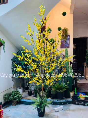 CÂY HOA MAI GIẢ TRANG TRÍ 2M5