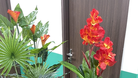 CÂY HOA DONG ĐỎ TRANG TRÍ HẰNG DECOR 1M2