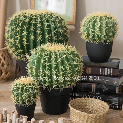 CÂY XƯƠNG RỒNG TRÒN NHỰA GIẢ TRANG TRÍ ( 22CM, 30CM,45CM)