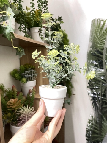 Chậu gốm Sứ Trồng Cây Cảnh Để Bàn Đường Kính 11cm