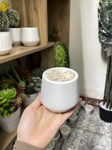 Chậu gốm Sứ Trồng Cây Cảnh Để Bàn Đường Kính 11cm
