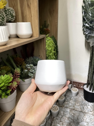 Chậu gốm Sứ Trồng Cây Cảnh Để Bàn Đường Kính 11cm