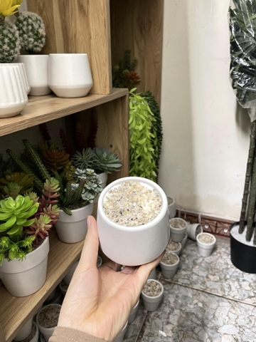 Chậu gốm Sứ Trồng Cây Cảnh Để Bàn Đường Kính 11cm