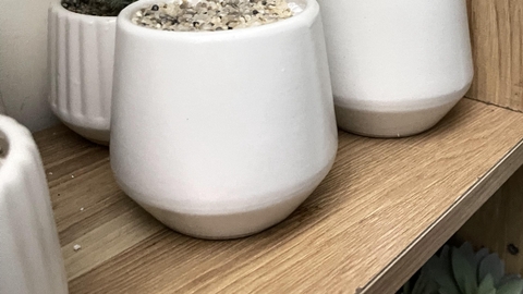 Chậu gốm Sứ Trồng Cây Cảnh Để Bàn Đường Kính 11cm
