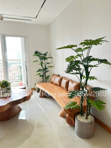 CÂY TRẦU BÀ LEO GIẢ HẰNG DECOR (1M2-1M6)