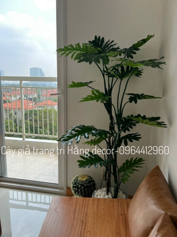 CÂY TRẦU BÀ LEO GIẢ HẰNG DECOR (1M2-1M6)