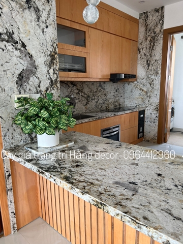 CHẬU SỌC DƯA HẤU ĐẶT BÀN 43CM
