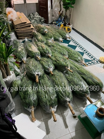 CÂY TÙNG THƠM GIẢ TRANG TRÍ HẰNG DECOR (1M2-1M6)