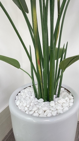 CÂY HOA THIÊN ĐIỂU GIẢ HẰNG DECOR (1M4-1M6)