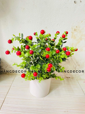 CHẬU SƠ RI ĐỎ ĐẶT BÀN TRANG TRÍ 30CM
