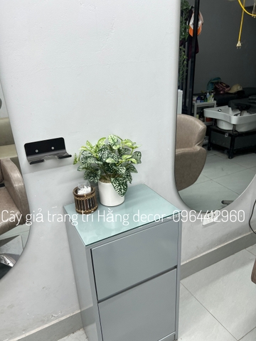 CHẬU LÁ BẠC HÀ TRẮNG ĐẶT BÀN 30CM
