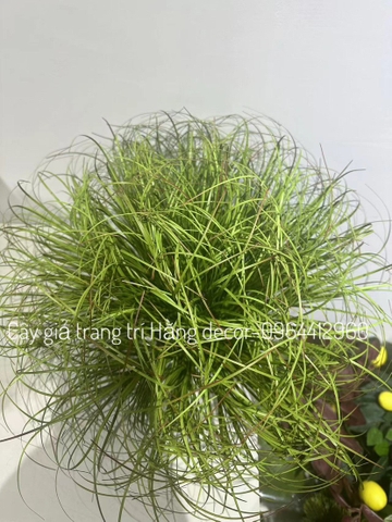 BÚI CỎ LAU GIẢ HẰNG DECOR 40CM