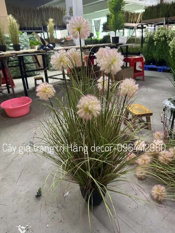 BÚI CỎ LAU BỒ CÔNG ANH GIẢ (90CM-1M2)