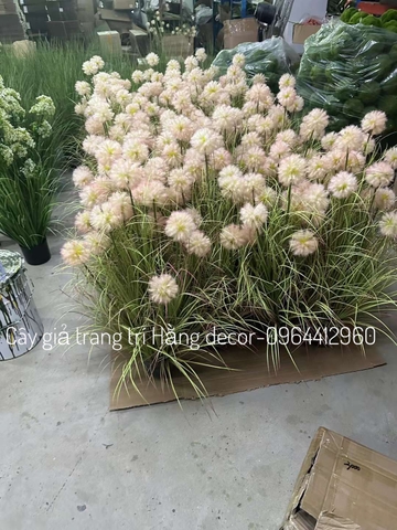 BÚI CỎ LAU BỒ CÔNG ANH GIẢ (90CM-1M2)