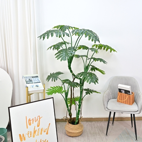 CÂY TRẦU BÀ LEO GIẢ HẰNG DECOR (1M2-1M6)