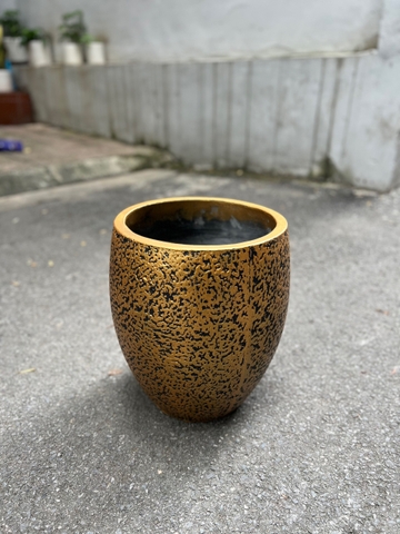 CHẬU XI MĂNG TRỨNG NHÁM TRỒNG  35x43