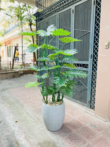 CÂY TRẦU BÀ LEO GIẢ HẰNG DECOR (1M2-1M6)