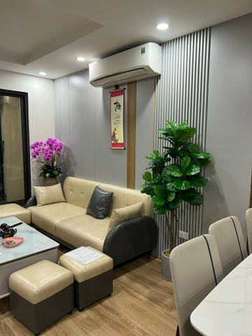 CÂY BÀNG SINGAPORE 6 NHÁNH hằng decor(1m5)