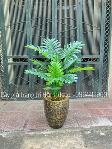 CÂY TRẦU BÀ THANH XUÂN GIẢ HẰNG DECOR 1M1