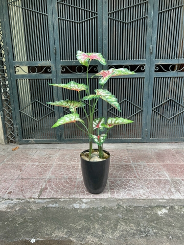 CÂY MÔN GIẢ TRANG TRÍ 1M1 (XANH, ĐỎ)