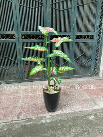 CÂY MÔN GIẢ TRANG TRÍ 1M1 (XANH, ĐỎ)