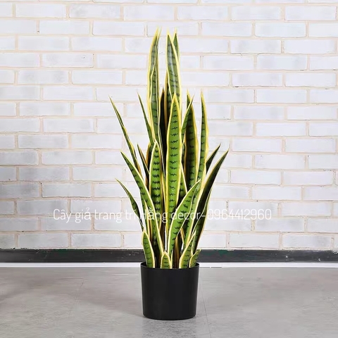 CÂY LƯỠI HỔ GIẢ HẰNG DECOR (80CM, 1M)