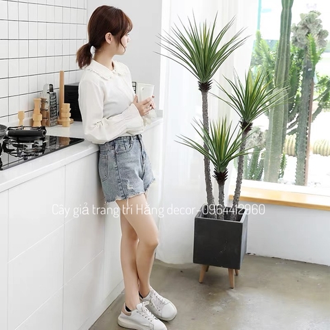 CÂY PHÁT TÀI NÚI THÂN TRẮNG GIẢ HẰNG DECOR (1M1, 1M4)
