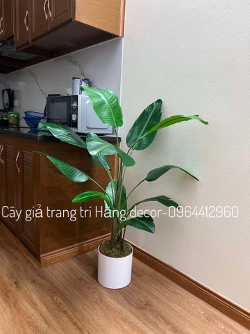 CÂY CHUỐI RẺ QUẠT TRANG TRÍ HẰNG DECOR 1M2(3 nhánh-12 lá)