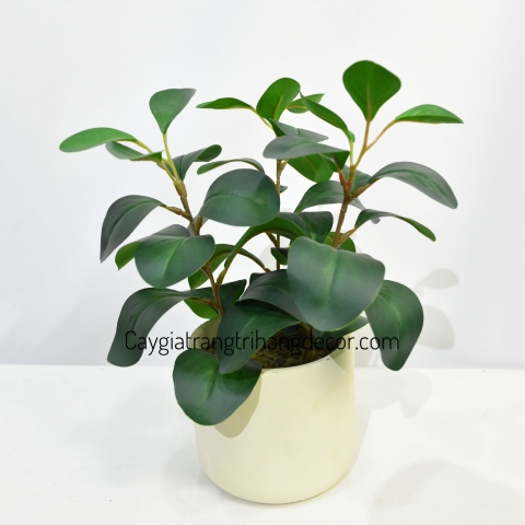 CHẬU CÂY GIẢ ĐẶT BÀN , TỦ, KỆ 30CM