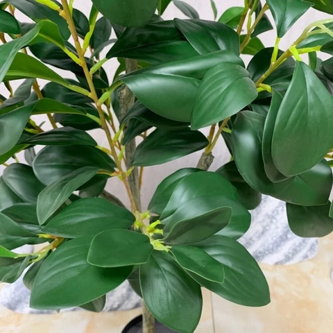 CÂY LÁ CHANH XANH GIẢ ( 1M2-1M3-1M6)
