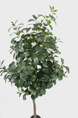 CÂY LÁ CHANH XANH GIẢ ( 1M2-1M3-1M6)